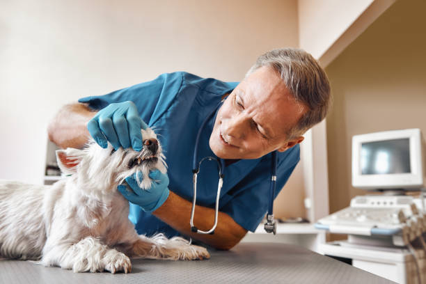 Best Emergency Treatment for Dental Infections or Abscesses in The Hills, TX